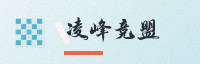 合作伙伴